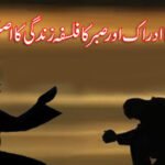 زندگی کا ادراک اور صبر کا فلسفہ زندگی کا اصل راز